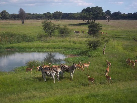 Mukuvisi Woodlands