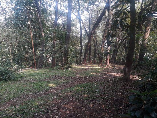 Ryewood Park