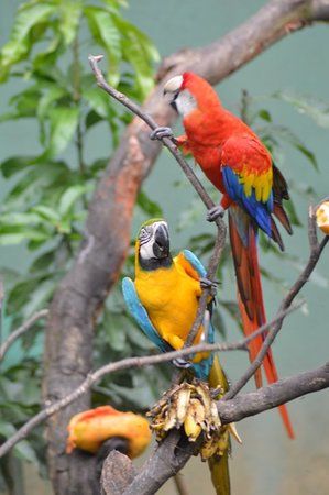 Dehiwala Zoological Garden