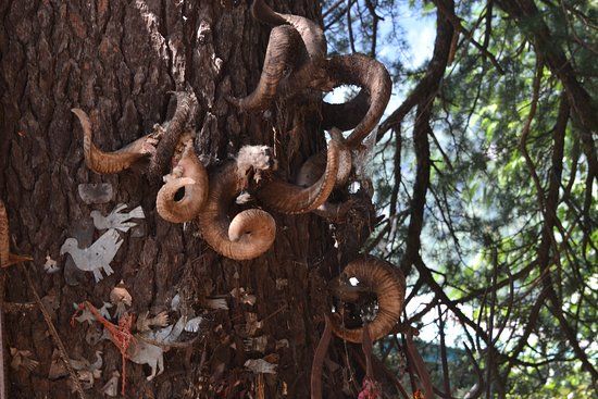 Ghatotkach Tree Temple