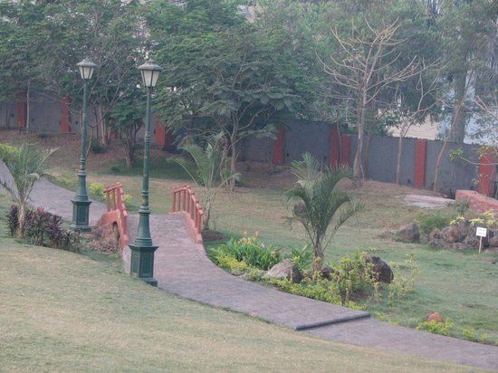 Rock Garden