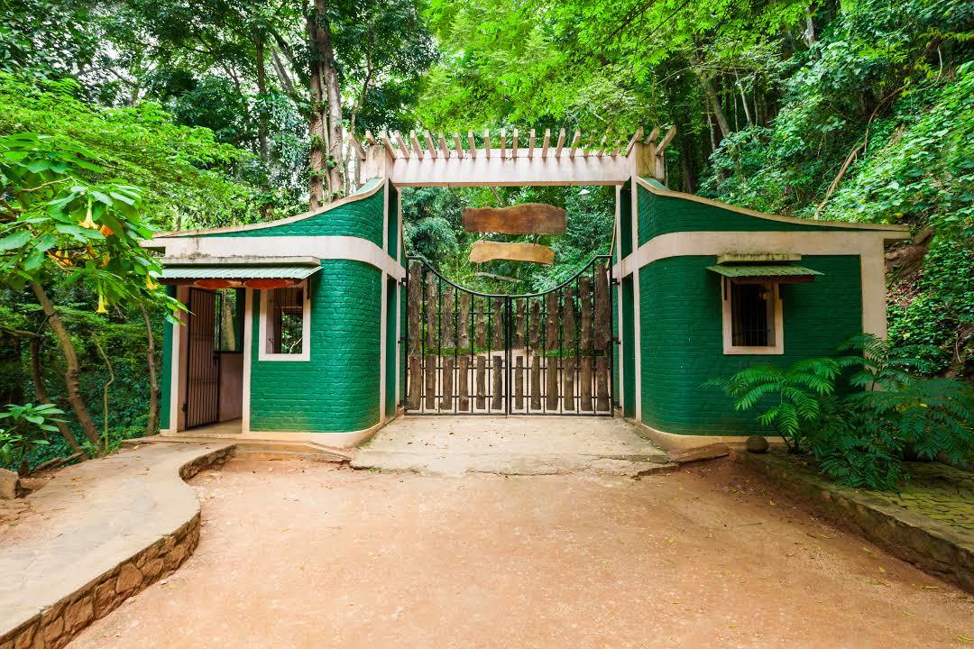 Udawattakelle Sanctuary
