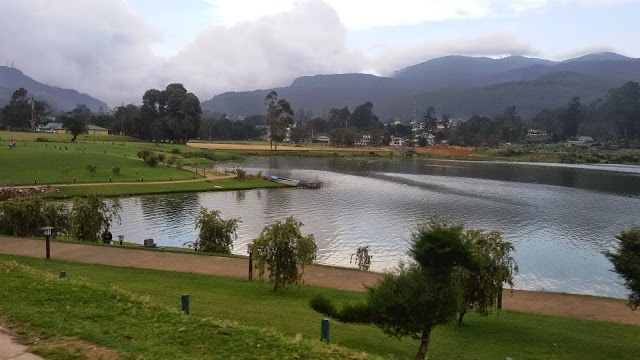 Gregory Park