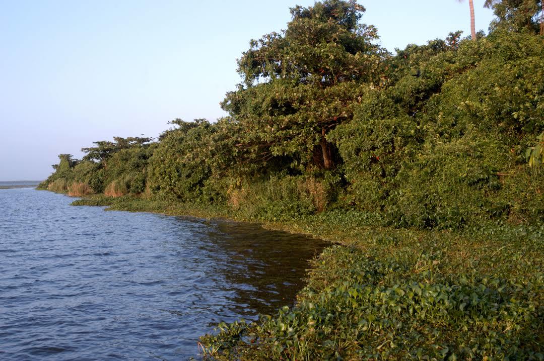 Pathiramanal