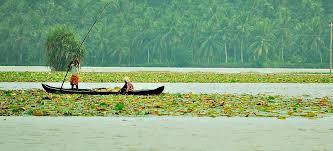 Vellayani Lake
