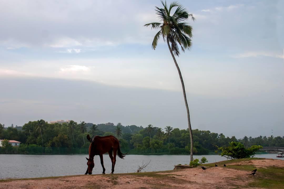 Veli Lake and Tourist Village