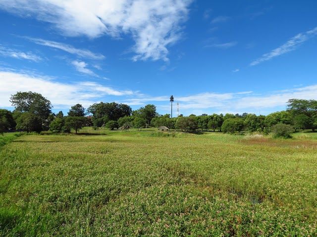 Ballantyne Park