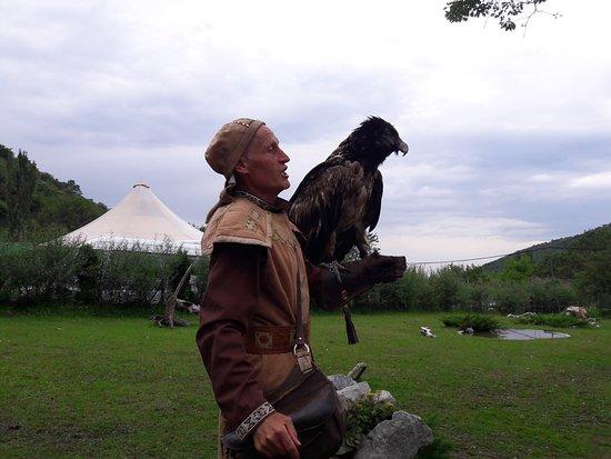 Falcon Farm Sunkar