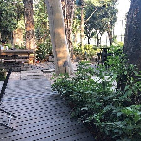 Hanging Garden