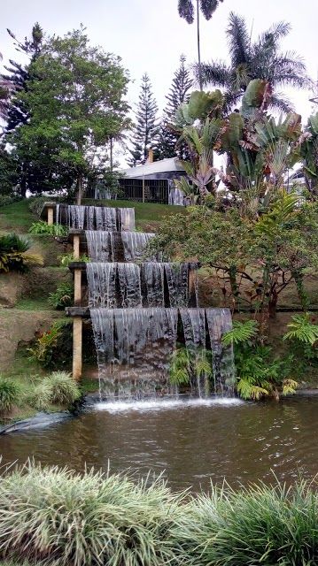 Vida Park
