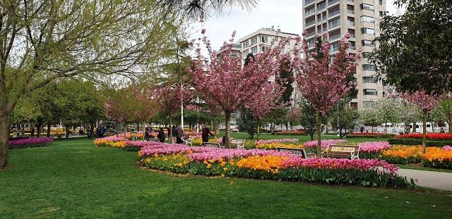 Goztepe Park
