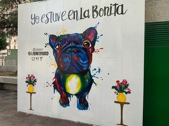 La Bonita