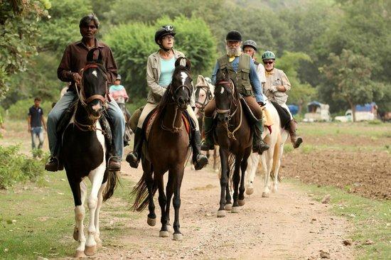Krishna Ranch
