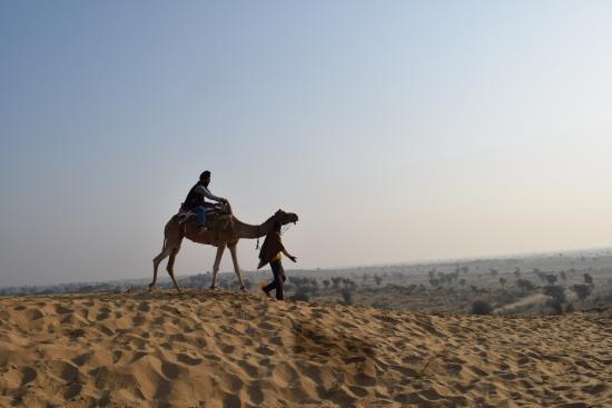 Bikaner Camel Safari