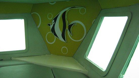 Coral Safari