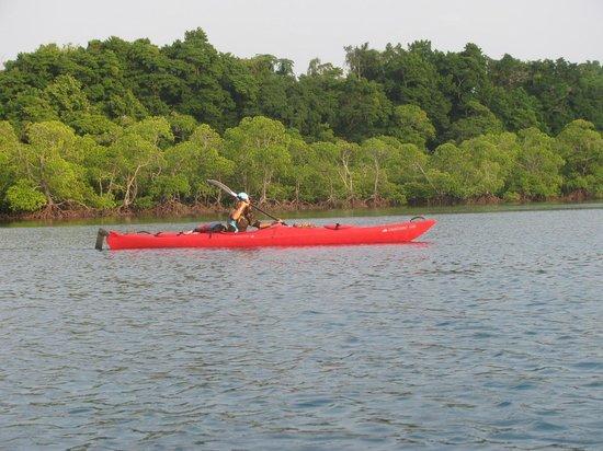 Andaman Kayak Tours