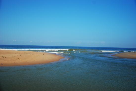 Poovar Backwater Cruise