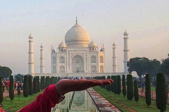 Pacific Tour India