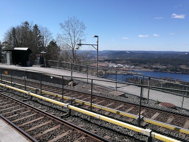 Skogen