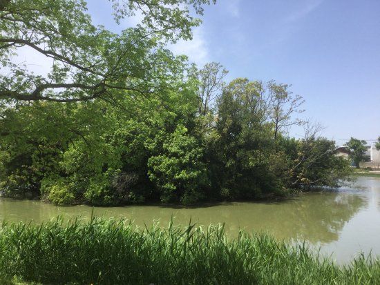 Mandaiike Park