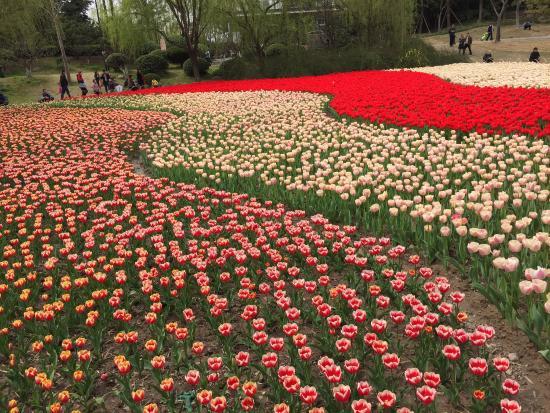 Daning Lingshi Park