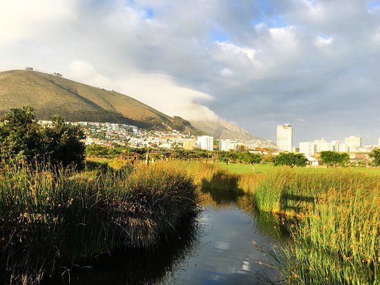 Greenpoint Park and Biodiversity Garden