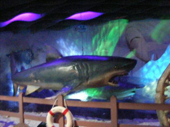 Ocean World