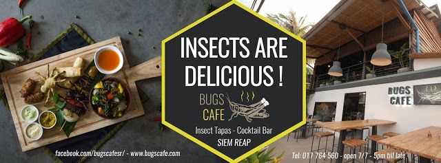 Bugs Cafe