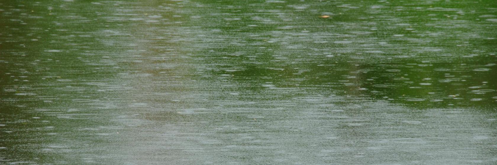 Bentota Lake