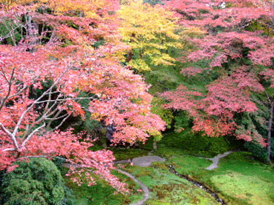 Ruriko-in Temple
