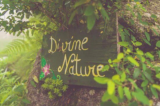 Divine Nature