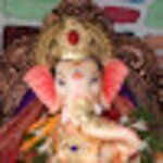 Konkan King